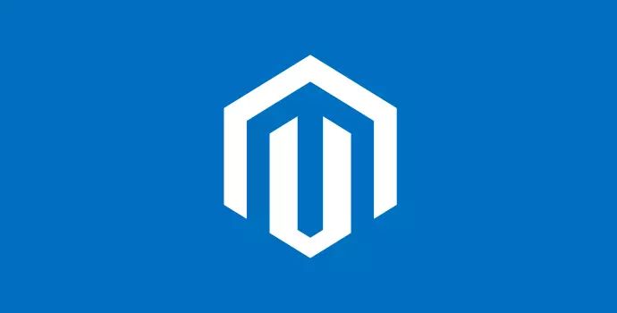 Magento Developer